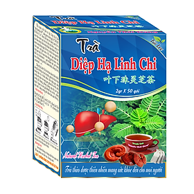 Trà Diệp Hạ Linh Chi (Hộp 50 Túi Lọc x 2g) -  Hỗ Trợ Viêm Gan B , Mỡ Máu- Nguyên Thái Trang - Thảo Dược Thiên Nhiên - Tốt Cho Sức Khỏe