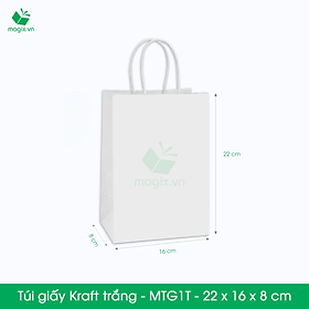 MTG1 MTG1T - 22x16x8 cm - Combo 300 túi giấy Kraft Nhật cao cấp