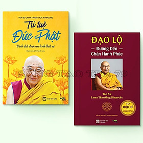 Combo Trí Tuệ Đức Phật - Cách Đạt Được An Bình Thật Sự + Đạo Lộ - Đường Đến Chân Hạnh Phúc ( Giảng Giải Tứ Diệu Đế )
