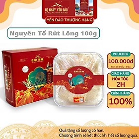 Yến Khánh Hòa - Nguyên Tổ Rút Lông [Hộp 100g] - Đệ Nhất Yến Đảo - Tăng cường sức đề kháng - Bổ phổi - Hỗ trợ điều trị ung thư - Điều hòa huyết áp - Cải thiện giấc ngủ - Bổ khí dưỡng nhan - Tăng cường sinh lực nam nữ