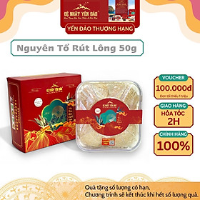 Yến Khánh Hòa - Nguyên Tổ Rút Lông [Hộp 50g] - Đệ Nhất Yến Đảo - Tăng cường sức đề kháng - Bổ phổi - Hỗ trợ điều trị ung thư - Điều hòa huyết áp - Cải thiện giấc ngủ - Bổ khí dưỡng nhan - Tăng cường sinh lực nam nữ