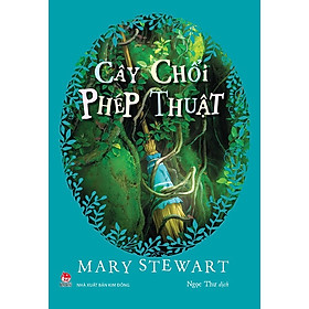 Sách - Cây chổi phép thuật