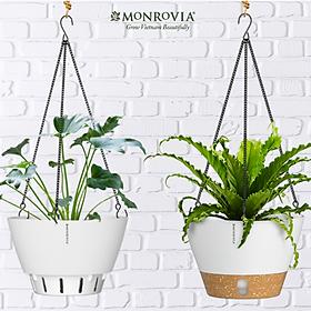 Chậu treo tự tưới MONROVIA cho cây trong nhà và ngoài trời decor không gian sống, có móc treo sắc
