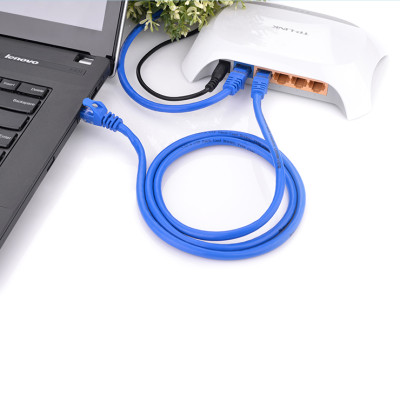 Dây mạng bấm sẵn 2 đầu Cat6 UTP Patch Cords dài 40M UGREEN NW102 11225 - Hàng Chính Hãng