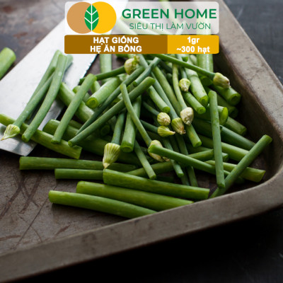 Hạt Giống Hẹ Ăn Bông GreenHome, Gói 1g~300 hạt, Nảy Mầm Đều, Giàu Dinh Dưỡng, Dễ Trồng Quanh Năm G20