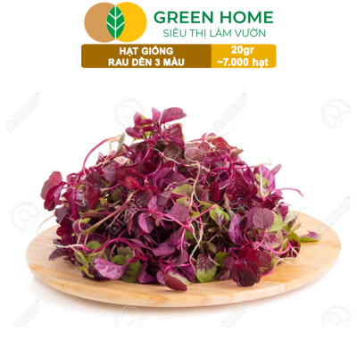 Hạt Giống Rau Dền 3 Màu Greenhome, Gói 20g~7000 hạt, Dễ Trồng Quanh Năm, Nảy Mầm Cao, Thu Hoạch Nhanh, Năng Suất Cao R15