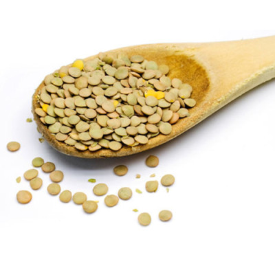 Đậu Lăng xanh (Green Lentil) nhập khẩu từ Canada