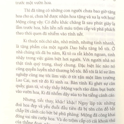 Những Truyện Hay Viết Cho Thiếu Nhi - Ma Văn Kháng (Tái Bản 2023)