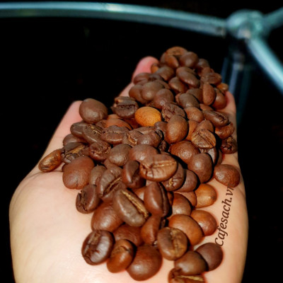 Cà Phê Sạch Cafesach Đắk Lộc 2, Cà Phê Vì Sức Khỏe, Gói 500 Gram