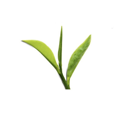 Combo 03 hộp trà đinh tiến quan 100 gram - Trà xanh tân cương thái nguyên