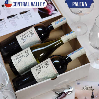 Vang Đỏ Chile PALENA CABERNET SAUVIGNON