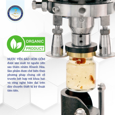[Hộp QT 6 Hũ] Tổ Yến Chưng Đường Phèn - Yến Sào Hòn Gốm Chính Hiệu Khánh Hòa - HGKNEST