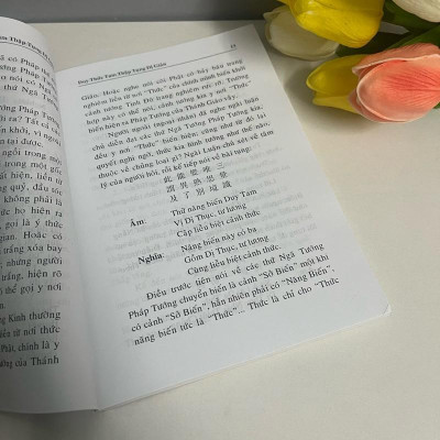 Sách - Duy Thức Tam Thập Tụng Dị Giản - Văn Thành Book