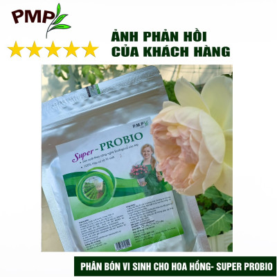 Combo Phân Hữu Cơ Cao Cấp Super Probio & Giá Thể Bã Mía Cho Hoa Hồng, Rau Sạch, Cây Cảnh
