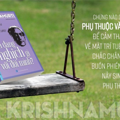 Sách - Bạn Đang Nghịch Gì Với Đời Mình?