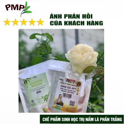 Giấm Gỗ Sinh Học APY PMP Chai 1000ml  Kháng Đốm Lá, Đốm Đen, Vàng Lá, Phấn Trắng Cho Hoa Hồng, Rau Sạch, Lan, Cây Cảnh