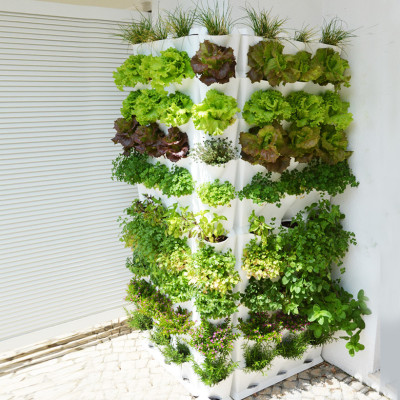 08 Chậu trồng rau thông minh Không thay đất Vertical (màu trắng) nhập khẩu Bồ Đào Nha kèm bộ tưới nhỏ giọt và bón phân Bán tự động (khu vực Không có vòi cấp)