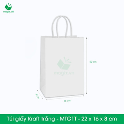 MTG1 MTG1T - 22x16x8 cm - Combo 300 túi giấy Kraft Nhật cao cấp