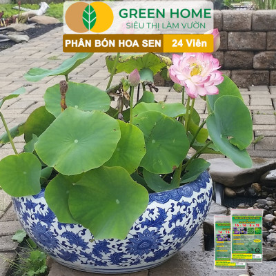 5 Vỉ Phân Bón Hoa Sen GreenHome, Vỉ 24 Viên, Cây Thuỷ Sinh, Ngập Nước, Cho Hoa To, Đậm Màu, Lâu Tàn