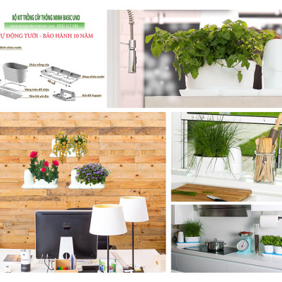 Vòng Phụ Kiện 5 Màu Color Ring Thay Thế Vòng Chậu Kit Trồng Cây Tự Dưỡng nhập khẩu Bồ Đào Nha Basic S và Basic UNO (màu trắng)