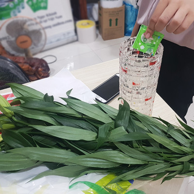 Chăm sóc hoa lâu tàn bằng bột dưỡng cho hoa cắt cành nhập khẩu Israel (Set 50 gói) giữ hoa lâu tàn gấp 2 lần bình thường và 14 ngày không thay nước mới