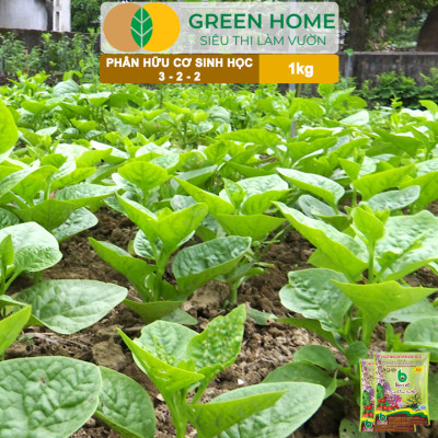 Phân Bón Hữu Cơ Greenhome, Better, Bao 1kg, Sinh Học Giúp Cây Khoẻ, Ổn Định, Sai Hoa, Đậu Trái