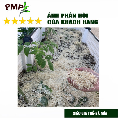 Combo Phân Hữu Cơ Cao Cấp Super Probio & Giá Thể Bã Mía Cho Hoa Hồng, Rau Sạch, Cây Cảnh