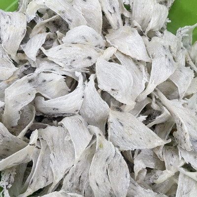 Yến thô bể đặc biệt hộp 100gr - yến sào cao cấp Đỗ Thị Toán - Tổ yến siêu ít lông - nhặt lông nhanh chóng - Ăn yến rất tốt cho tiêu hóa