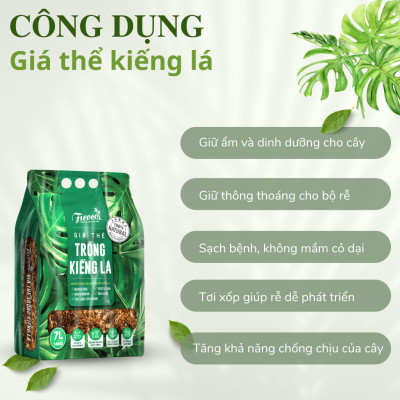 Đất trồng cây, giá thể trồng các cây kiểng lá, cây trong nhà, ngoài trời, Monstera, Anthurium, Bàng Singapore, túi 7 lít