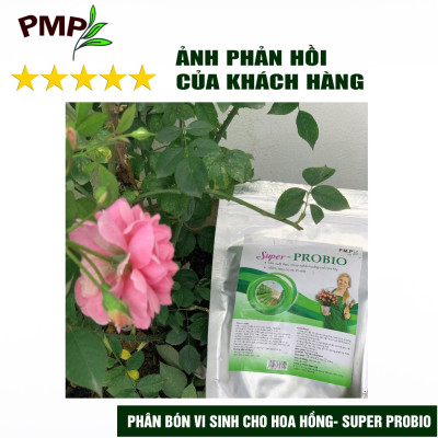 Combo Phân Hữu Cơ Cao Cấp Super Probio & Giá Thể Bã Mía Cho Hoa Hồng, Rau Sạch, Cây Cảnh