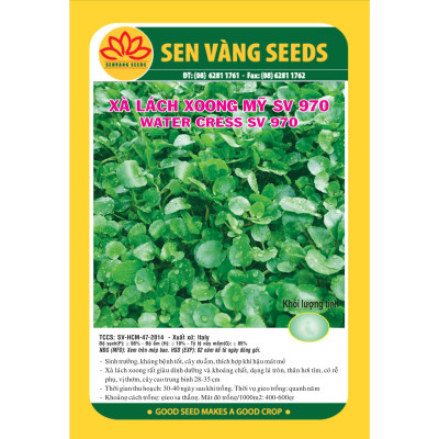Hạt giống xà lách xoong Mỹ VTS41