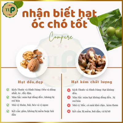 HẠT ÓC CHÓ TÂN LỘC PHÁT COMBO 1KG - MỖI BỊCH 500G