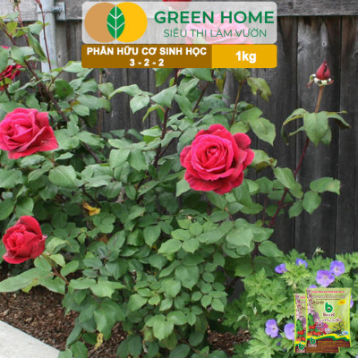 Phân Bón Hữu Cơ Greenhome, Better, Bao 1kg, Sinh Học Giúp Cây Khoẻ, Ổn Định, Sai Hoa, Đậu Trái