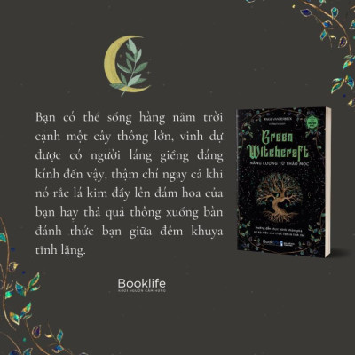 Sách - Green Witchcraft - Năng Lượng Từ Thảo Mộc - Paige Vanderbeck - 1980 Books