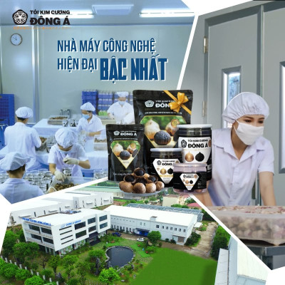 Tỏi Kim Cương Đông Á Hộp 100g - Tỏi đen cô đơn SX theo công nghệ chuyển giao từ Nhật Bản - Hỗ trợ ổn định huyết áp, tăng cường đề kháng