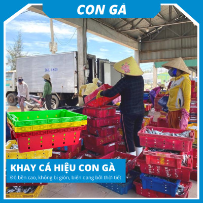 Khay nhựa đựng trái cây siêu bền Siam Brothers - Vàng