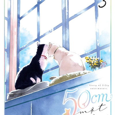 Boxset 50cm Một Cuộc Đời (Bộ 3 Tập)