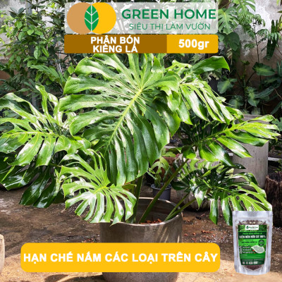 Phân Bón Kiểng Lá GreenHome, Sfarm, Bao 500gr, Chuyên Cho Các Dòng Kiểng Lá Trong Nhà Và Ngoài Trời