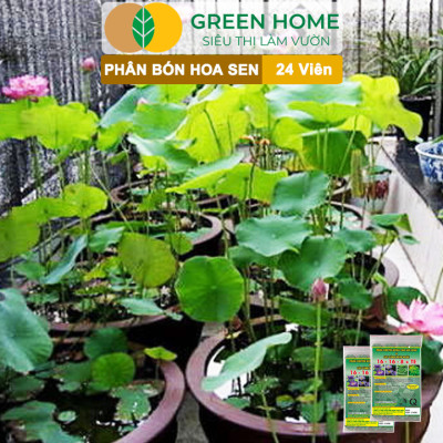 5 Vỉ Phân Bón Hoa Sen GreenHome, Vỉ 24 Viên, Cây Thuỷ Sinh, Ngập Nước, Cho Hoa To, Đậm Màu, Lâu Tàn