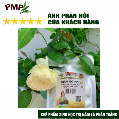 Combo Biomic Vi Sinh & Giấm Gỗ APY Cho Hoa Hồng, Rau Sạch, Cây Cảnh