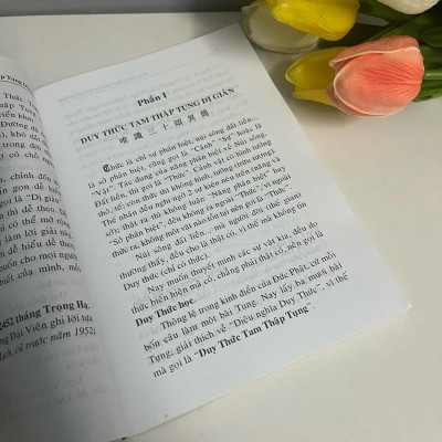Sách - Duy Thức Tam Thập Tụng Dị Giản - Văn Thành Book