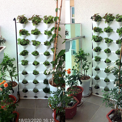 08 Chậu trồng rau thông minh Không thay đất Vertical (màu trắng) nhập khẩu Bồ Đào Nha kèm bộ tưới nhỏ giọt và bón phân Bán tự động (khu vực Không có vòi cấp)