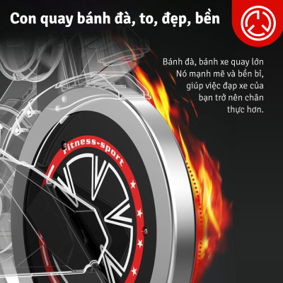 Xe đạp tập thể dục thể thao, gym, fitness giúp tăng cơ, giảm mỡ hiệu quả tại nhà 