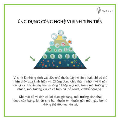 Xịt khử mùi giày dép Emi Balance 60ml