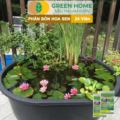 5 Vỉ Phân Bón Hoa Sen GreenHome, Vỉ 24 Viên, Cây Thuỷ Sinh, Ngập Nước, Cho Hoa To, Đậm Màu, Lâu Tàn
