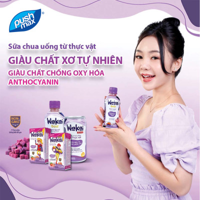 Thùng 24 Lon Sữa Chua Uống Từ Thực Vật Wakai Active (250ml x 24 lon)