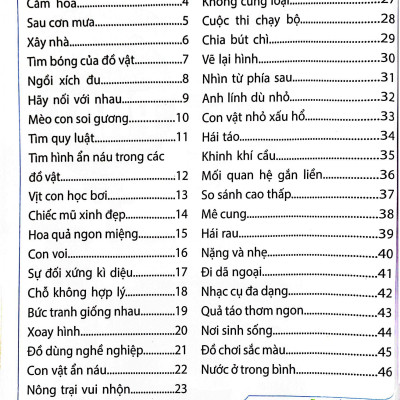 Sân Chơi Trí Tuệ Cho Trẻ - Rèn Luyện Tư Duy Não Trái + Phát Triển Sáng Tạo Não Phải - Dành Cho Bé 4-5 Tuổi - Tập 2