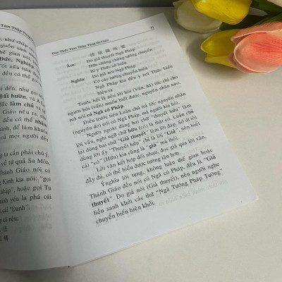 Sách - Duy Thức Tam Thập Tụng Dị Giản - Văn Thành Book