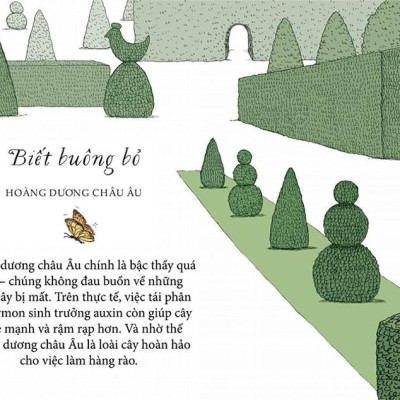 Sống Như Những Cái Cây - Những Bài Học Nhỏ Để Có Nguồn Hạnh Phúc Bất Tận (Tái Bản 2021)
