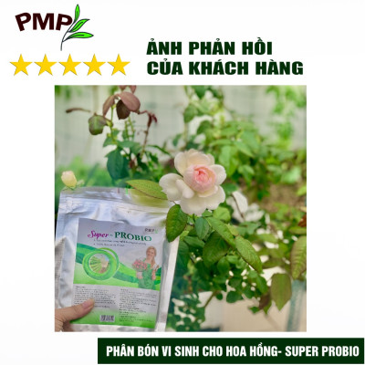 Combo Phân Hữu Cơ Cao Cấp Super Probio & Giá Thể Bã Mía Cho Hoa Hồng, Rau Sạch, Cây Cảnh